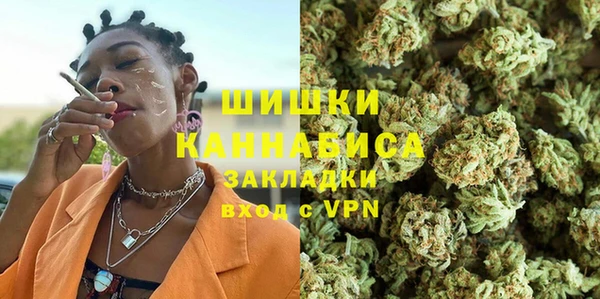 индика Беломорск