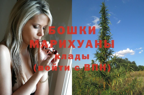 кокс Белокуриха