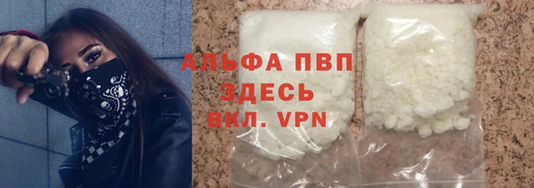 индика Беломорск
