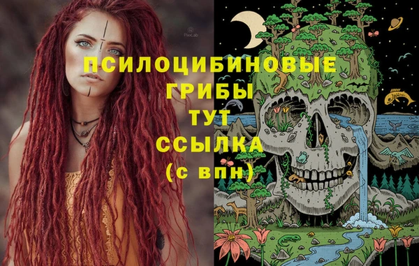 гашик Белоозёрский
