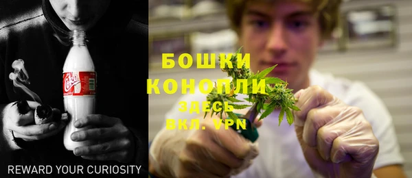 кокс Белокуриха
