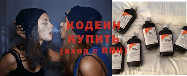 индика Беломорск