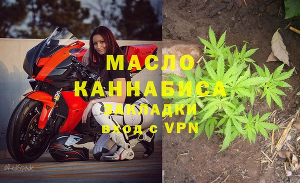 индика Беломорск