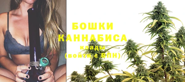 индика Беломорск
