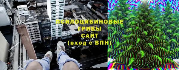 кокс Белокуриха