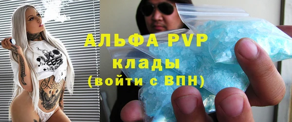 индика Беломорск